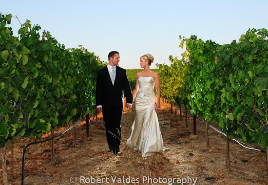 Los Positas Vineyards Wedding Photos Los Positas Vineyards Wedding Photos