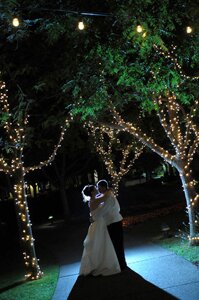 wente vineyards wedding photo wente vineyards wedding photo